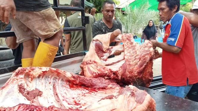 Daging sapi kurban Presiden RI dari rumah potong ke sekitar