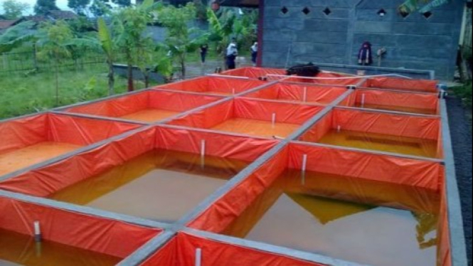 Kolam terpal mempunyai banyak kelebihan