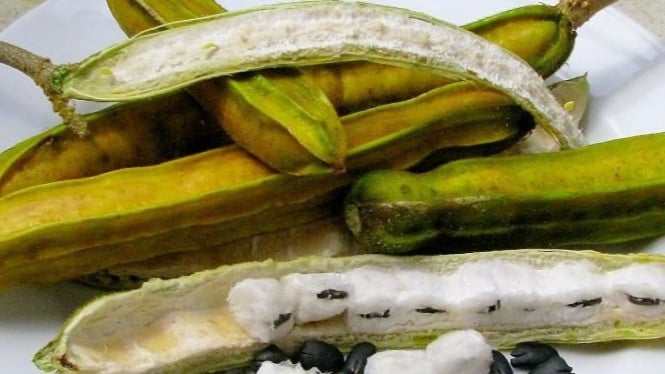 Buah Salju Khas Bali memiliki bentuk seperti kapas