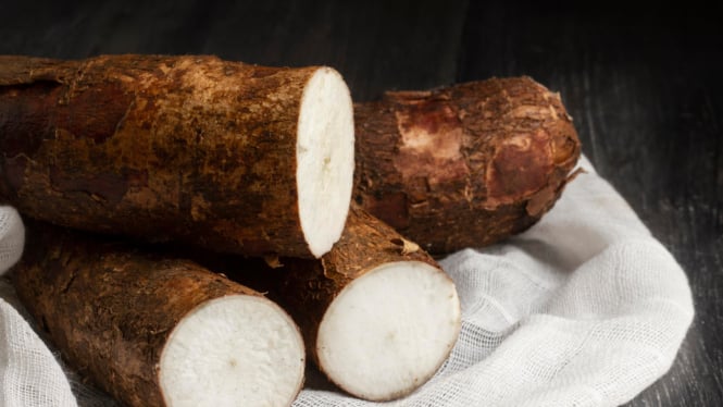 Manfaat singkong untuk kesehatan tubuh dan kulit