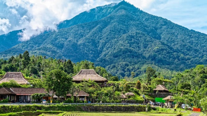 Hijau asri: sawah organik di Bali