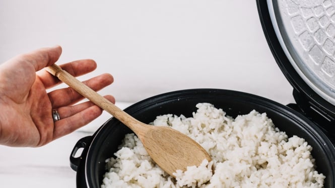 Penyebab Nasi Cepat Basi di Magic Com