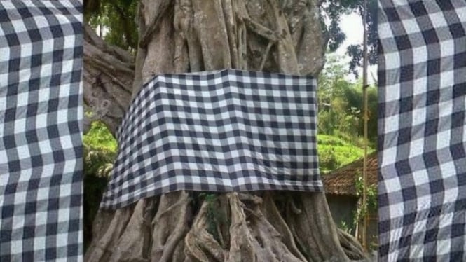 Beringin sakral, tempat doa dan harap