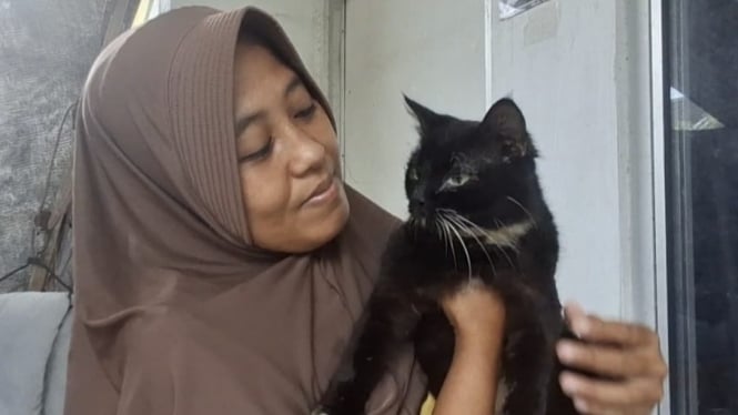 Demi Ratusan Kucing Terlantar, Emak di Jember Rela Diceraikan