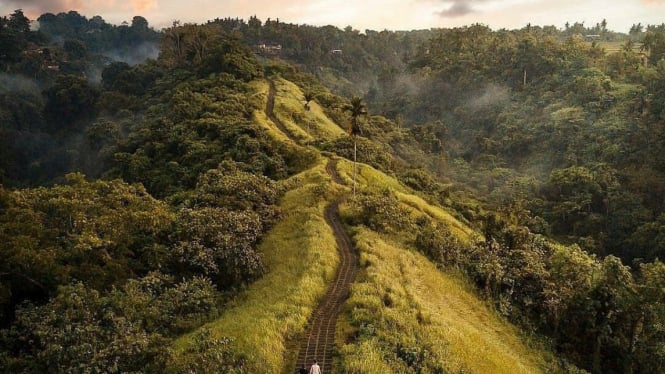 Jalur hijau ikonik Campuhan Ridge