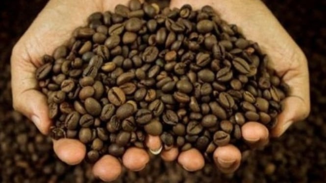 Aroma Kintamani dalam genggaman