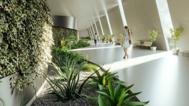 Tanaman indoor mempercantik ruangan dan memberi kesegaran visual