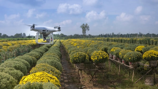 Ilustrasi pertanian saat menggunakan robot dan drone.