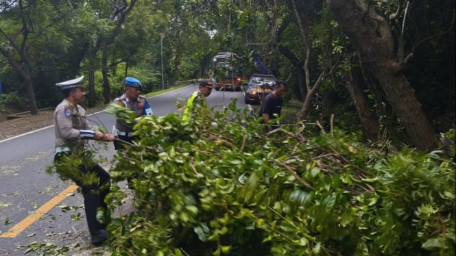 Anggota Polsek Kawasan Pelabuhan Gilimanuk Evakuasi Pohon Tumbang