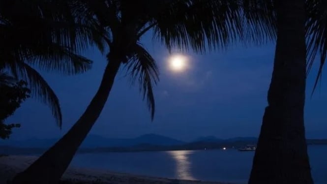 Fenomena full moon di salah satu pantai Bali
