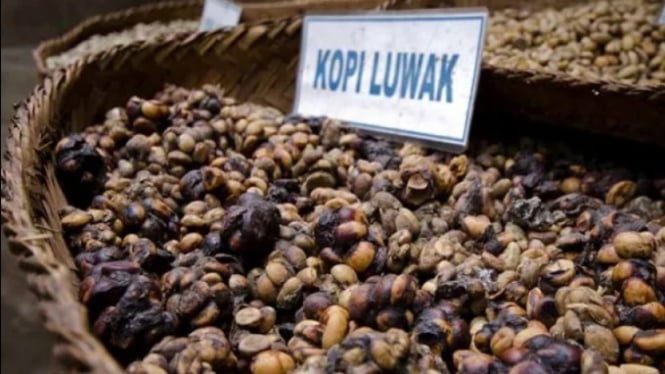 Biji kopi luwak, warisan rasa