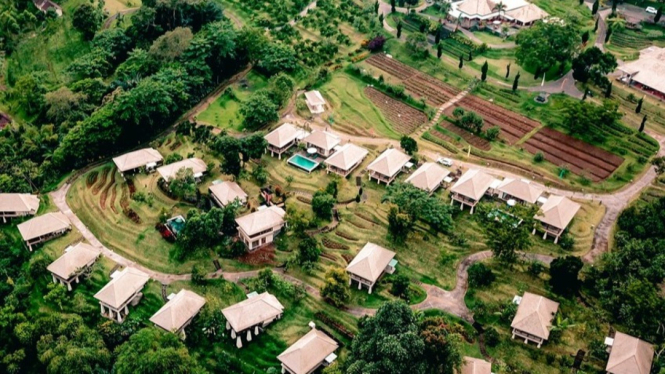 Keasrian Kebun Sayur Organik di Ubud