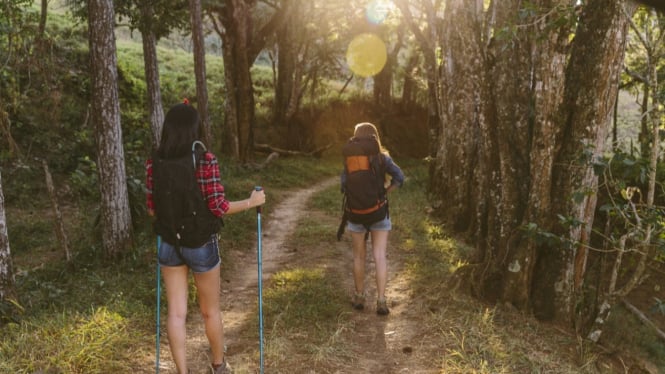 Membandingkan Nordic walking dengan jogging.