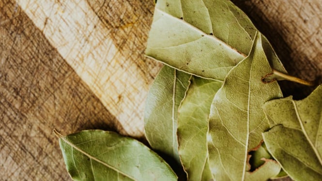 Cara Menyimpan Daun Salam dan Daun Jeruk