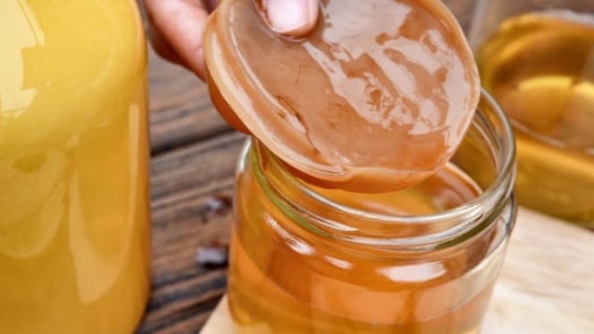 Segelas Kombucha sejuta manfaat