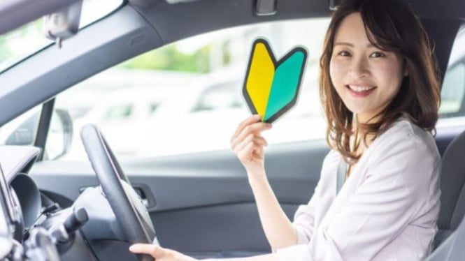 Inilah stiker wakaba/shosinsha untuk pengemudi yang baru punya SIM.