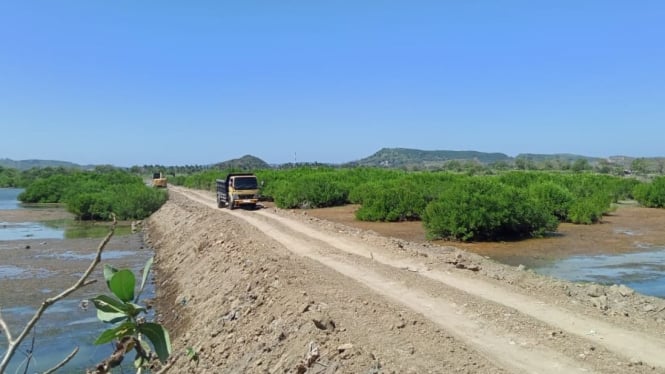 Reklamasi mangrove kawasan Mandalika
