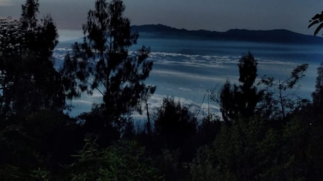 Kabut tipis pagi selimuti lereng gunung