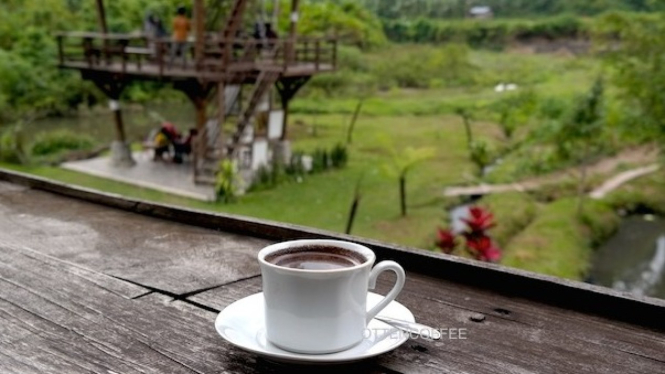 Kopi Bali hangat berlatar alam tradisional.