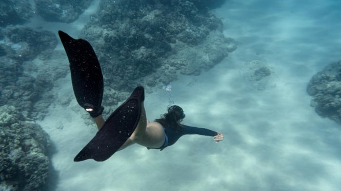 Keindahan bawah laut nusa penida