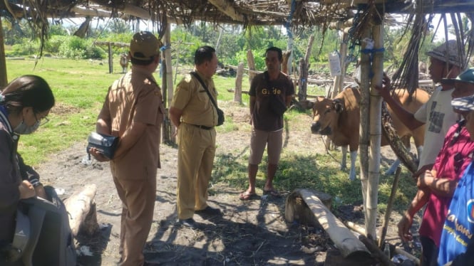 Petugas Keswan cek ternak warga