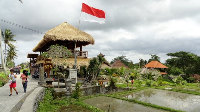 Forest bathing & breathwork di Campuhan Ridge Walk, Ubud