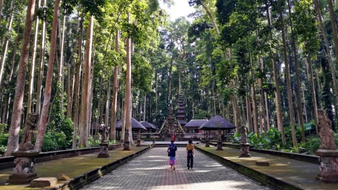 Keheningan Hutan Pala dan Kera di Desa Sangeh Bali