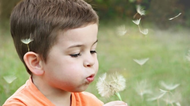 Ilustrasi anak kecil sedang meniup Dandelion