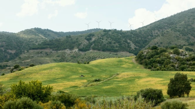 Perbukitan Hijau di Bukit Teletubbies Nusa Penida