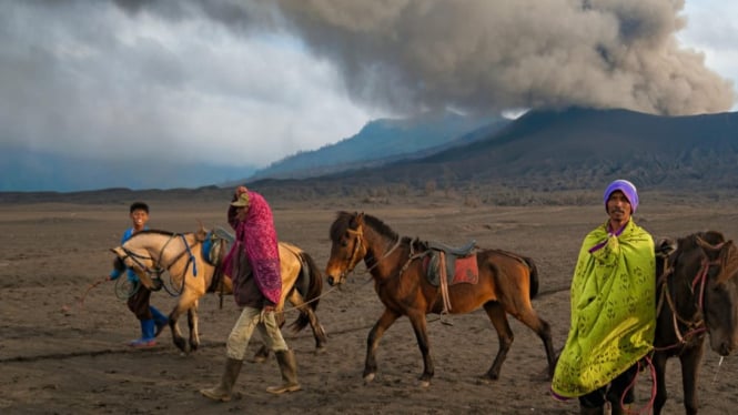 pemandangan wisata gunung bromo dan kuda