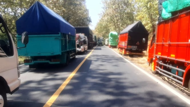 Ribuan kendaraan terjebak antrian di Taman Nasional Baluran