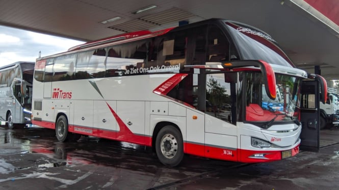 Bus Mtrans melayani trayek Malang Bali
