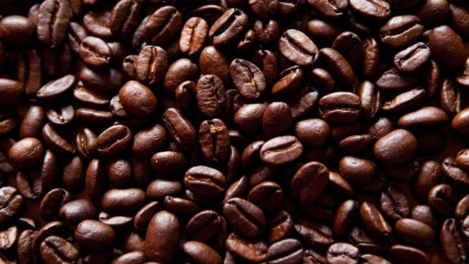 Bentuk biji kopi yang siap untuk digiling