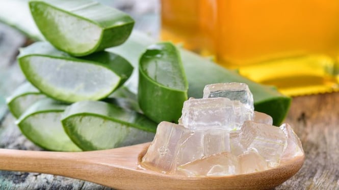 Aloe Vera untuk mengatasi jerawat