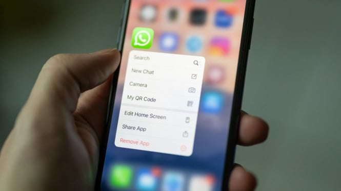 Meta Diam-Diam Ingin Merubah WhatsApp Menjadi Super App