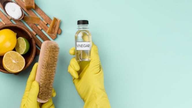 Beberapa bahan yang digunakan untuk membersihkan toilet secara alami