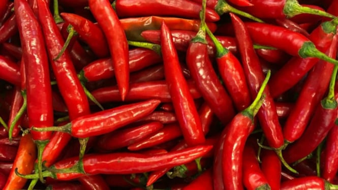 Makan Pedas Bisa Meningkatkan Nafsu Makan