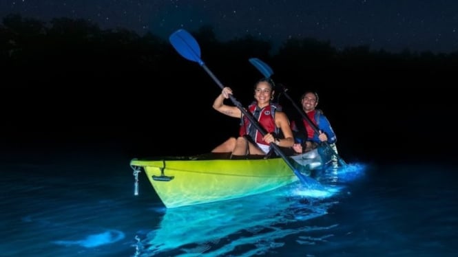 Kayaking di Laut Menyala, Pesona Lovina Malam