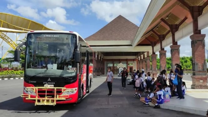 shuttle bus merupakan salah satu transportasi umum di Bali