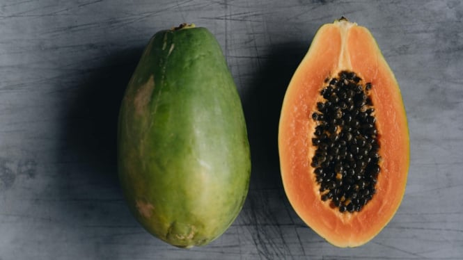 ilustrasi buah pepaya
