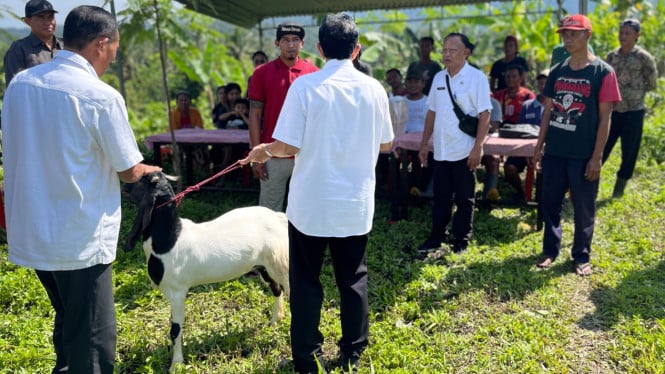 Penyerahan kambing ke peternak Jembrana