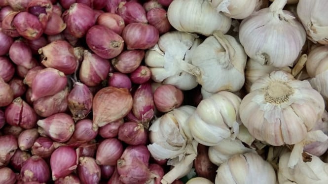 Bawang dan aroma sejarahnya