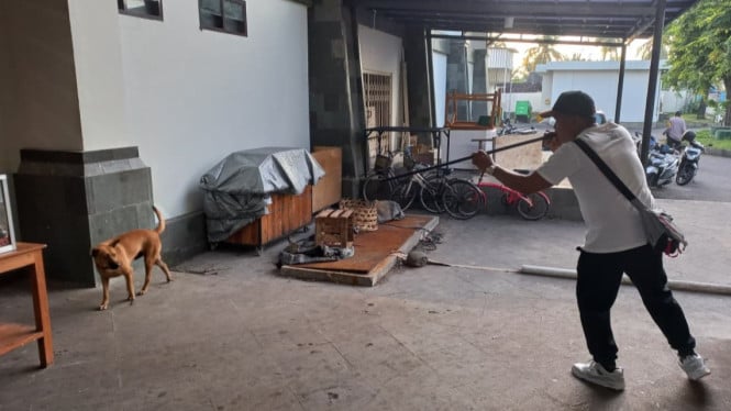 Petugas Melakukan Vaksinasi HPR di Pasar Umum Negara