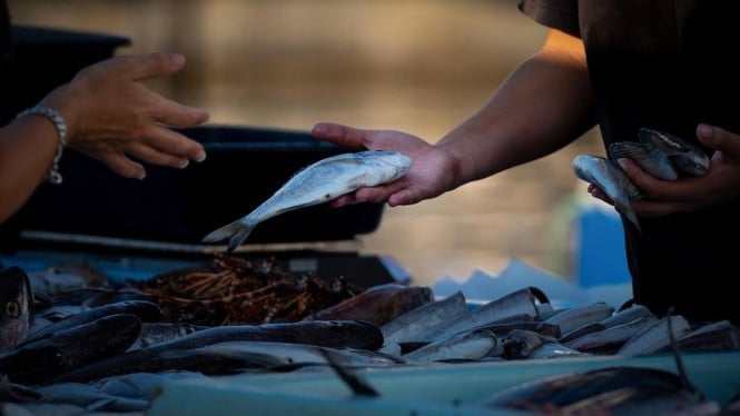 Ilustrasi Jual Beli Ikan di Pasar