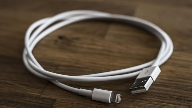 Ilustrasi Kabel Iphone