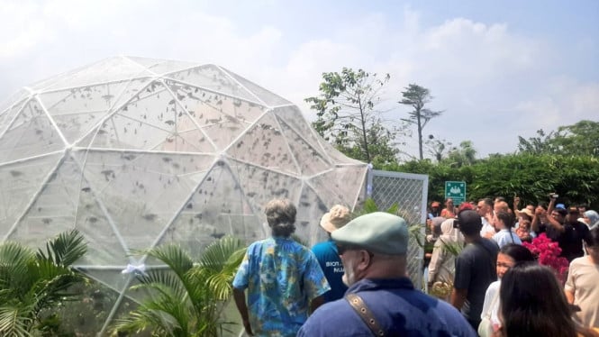 Momen pelepasan 3500 kupu-kupu di Nuanu Creative City
