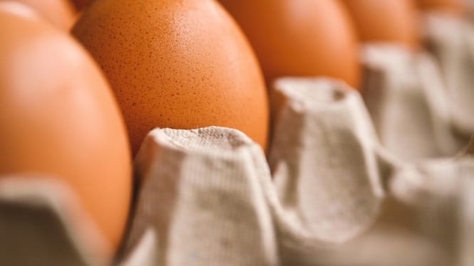 Tips mengecek kesegaran telur