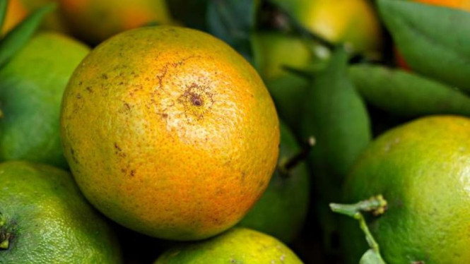 Jenis Buah Lokal Asli Bali