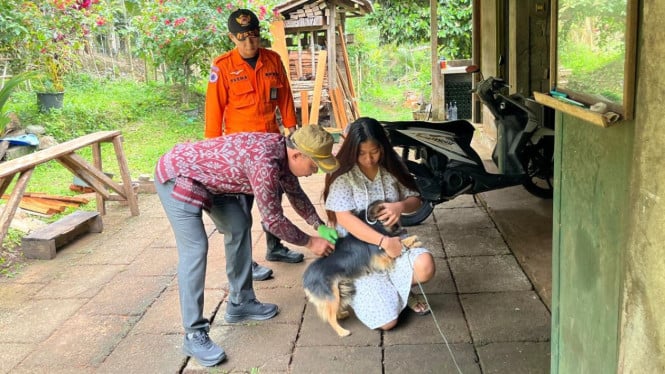 Petugas Melakukan Vaksinasi Rabies di Desa Pengeragoan