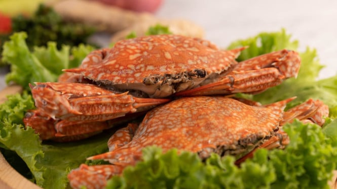 Ilustrasi Olahan Kepiting
